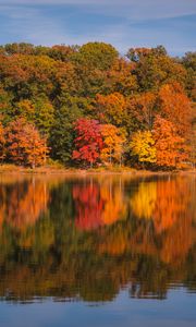 Превью обои лес, деревья, отражение, осень, река