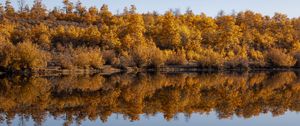 Превью обои лес, деревья, отражение, осень, озеро