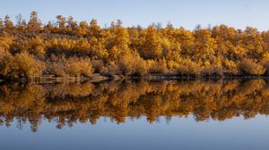 Превью обои лес, деревья, отражение, осень, озеро