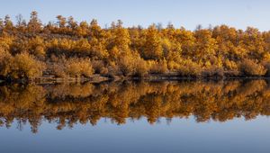 Превью обои лес, деревья, отражение, осень, озеро