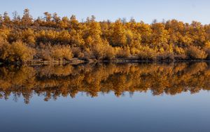 Превью обои лес, деревья, отражение, осень, озеро