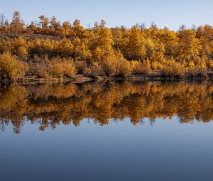 Превью обои лес, деревья, отражение, осень, озеро