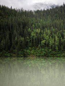 Превью обои лес, деревья, отражение, река, природа, пейзаж, облака