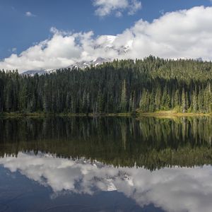 Превью обои лес, деревья, озеро, отражение, облака, природа