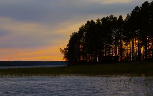Превью обои лес, деревья, озеро, небо, горизонт, пейзаж, природа, темный