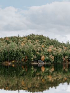 Превью обои лес, деревья, озеро, отражение, небо