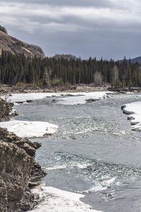 Превью обои лес, деревья, озеро, лед, скалы, природа