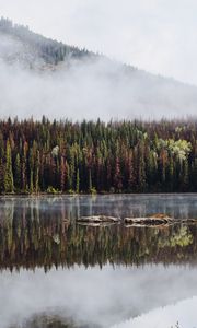 Превью обои лес, деревья, озеро, отражение, гора, туман