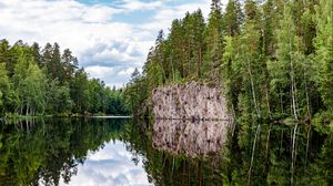 Превью обои лес, деревья, озеро, отражение, природа, пейзаж