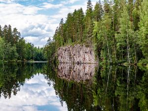 Превью обои лес, деревья, озеро, отражение, природа, пейзаж