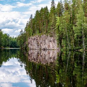 Превью обои лес, деревья, озеро, отражение, природа, пейзаж