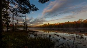 Превью обои лес, деревья, озеро, природа, пейзаж, сумерки