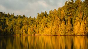Превью обои лес, деревья, озеро, сумерки, пейзаж