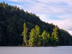 Превью обои лес, деревья, озеро, остров, пейзаж