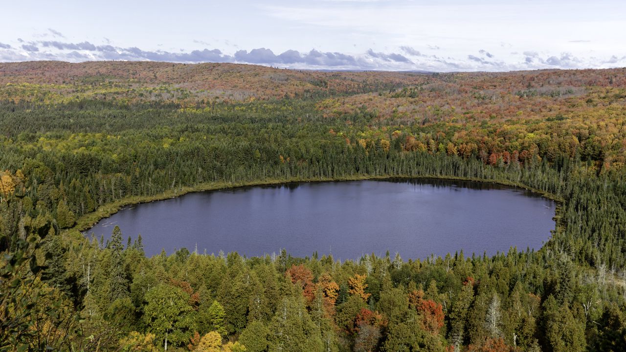 Обои лес, деревья, озеро, вид сверху, осень, пейзаж