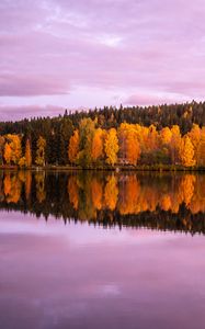 Превью обои лес, деревья, озеро, отражение, осень, пейзаж