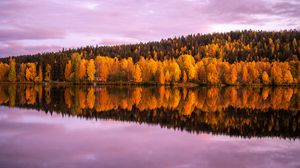 Превью обои лес, деревья, озеро, отражение, осень, пейзаж