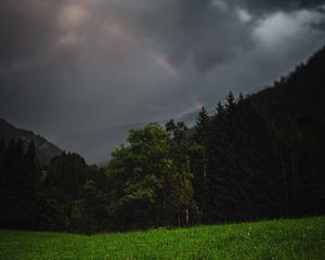 Превью обои лес, деревья, поле, тучи, радуга, пейзаж