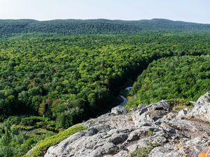 Превью обои лес, деревья, река, холм, камень, пейзаж, вид