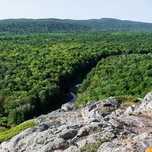 Превью обои лес, деревья, река, холм, камень, пейзаж, вид