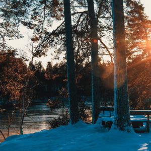 Превью обои лес, деревья, река, лучи, весна