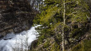 Превью обои лес, деревья, река, водопад, пейзаж