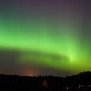 Превью обои лес, деревья, северное сияние, ночь