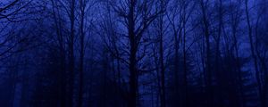 Превью обои лес, деревья, силуэты, синий, темный