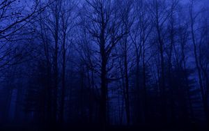 Превью обои лес, деревья, силуэты, синий, темный