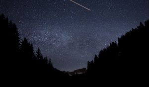 Превью обои лес, деревья, силуэты, звезды, небо, темный