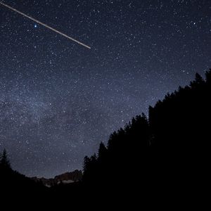 Превью обои лес, деревья, силуэты, звезды, небо, темный