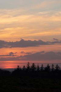 Превью обои лес, деревья, силуэты, облака, сумерки, темный