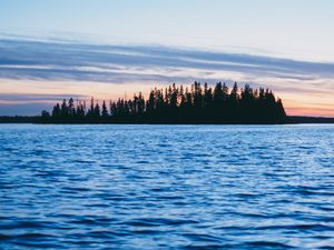 Превью обои лес, деревья, силуэты, вода, волны, пейзаж