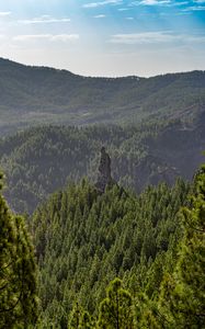 Превью обои лес, деревья, скала, пейзаж, природа, зеленый