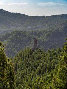 Превью обои лес, деревья, скала, пейзаж, природа, зеленый