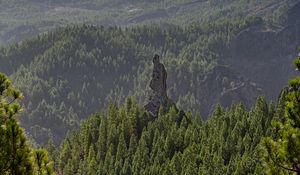 Превью обои лес, деревья, скала, пейзаж, природа, зеленый