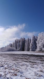 Превью обои лес, деревья, снег, поле, зима, пейзаж