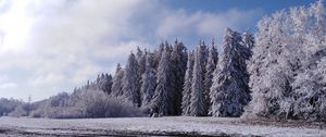 Превью обои лес, деревья, снег, поле, зима, пейзаж