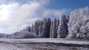 Превью обои лес, деревья, снег, поле, зима, пейзаж