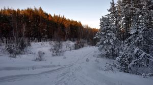 Превью обои лес, деревья, снег, тропинка