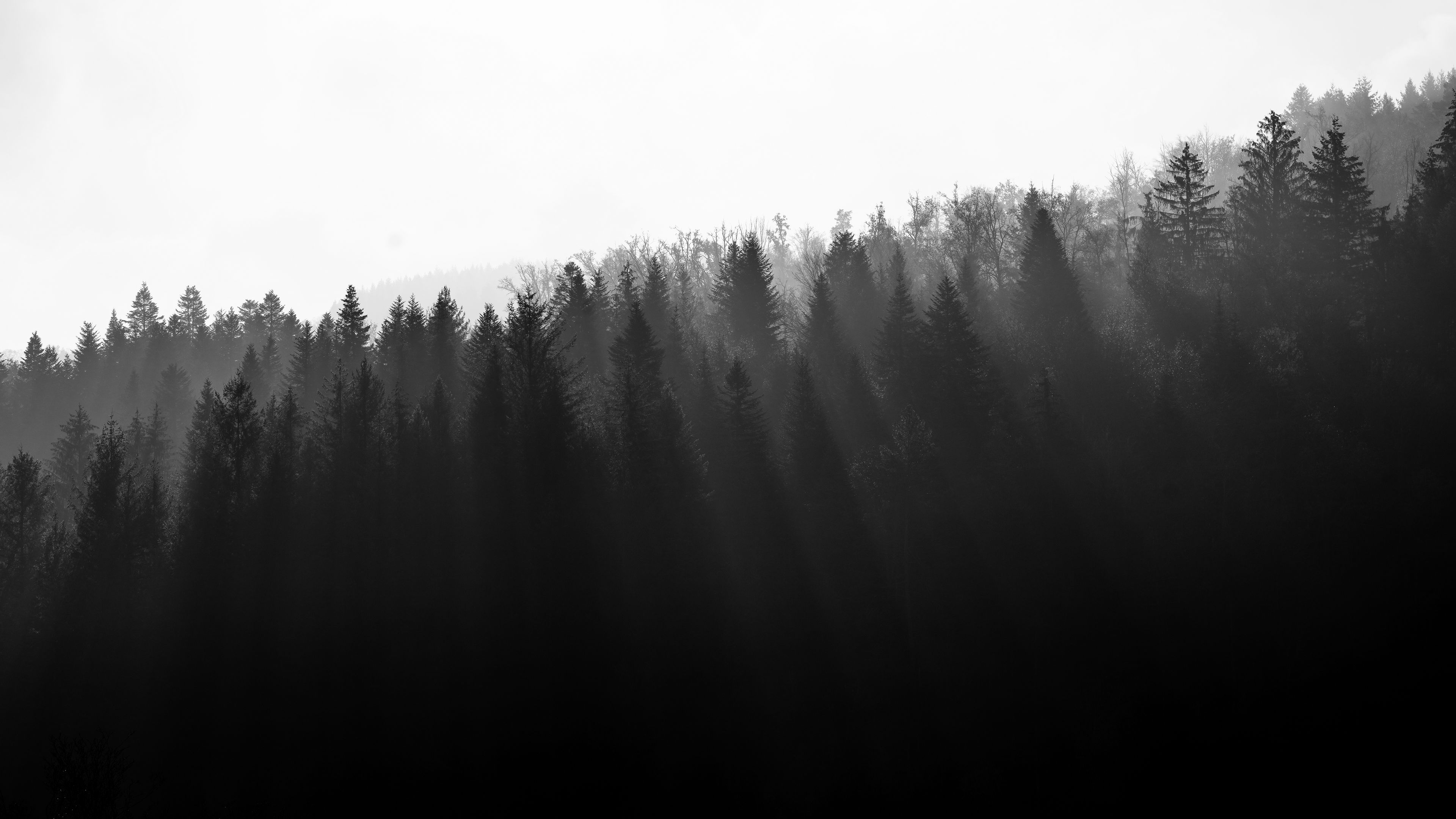 3840x2160 4k Uhd 3840x2160 4k Uhd