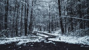 Превью обои лес, деревья, тропа, зима