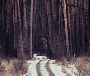 Превью обои лес, деревья, тропа, снег, следы