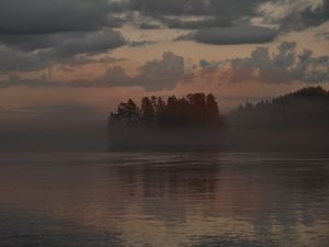 Превью обои лес, деревья, туман, озеро, сумерки, пейзаж