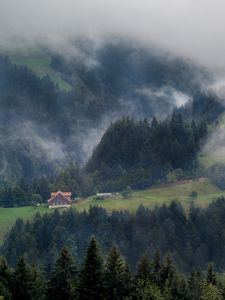 Превью обои лес, деревья, туман, домик, вид сверху, природа