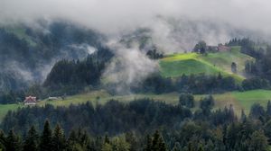 Превью обои лес, деревья, туман, домик, вид сверху, природа