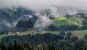 Превью обои лес, деревья, туман, домик, вид сверху, природа