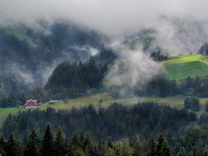 Превью обои лес, деревья, туман, домик, вид сверху, природа