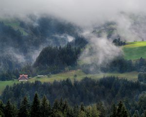 Превью обои лес, деревья, туман, домик, вид сверху, природа