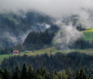 Превью обои лес, деревья, туман, домик, вид сверху, природа